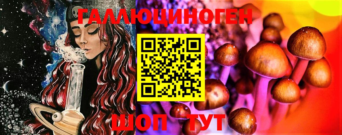Апшеронск  Галлюциногенные грибы Psilocybine cubensis  Вход с VPN 