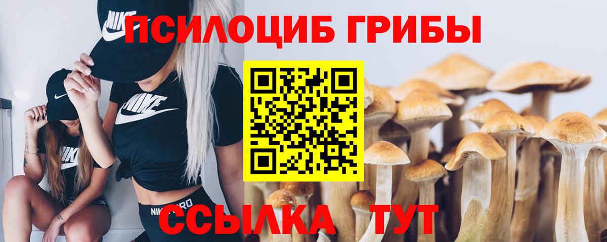 Псилоцибиновые грибы мицелий Апшеронск