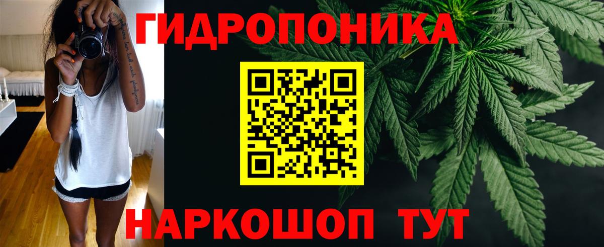 МАРИХУАНА Bruce Banner Апшеронск